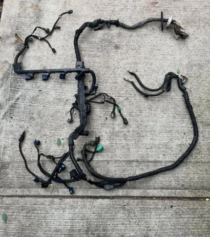 RHD K Type R Engine Harness. RHD Charge harness.