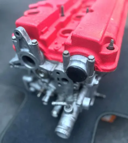 GSR head (p72) Bone stock