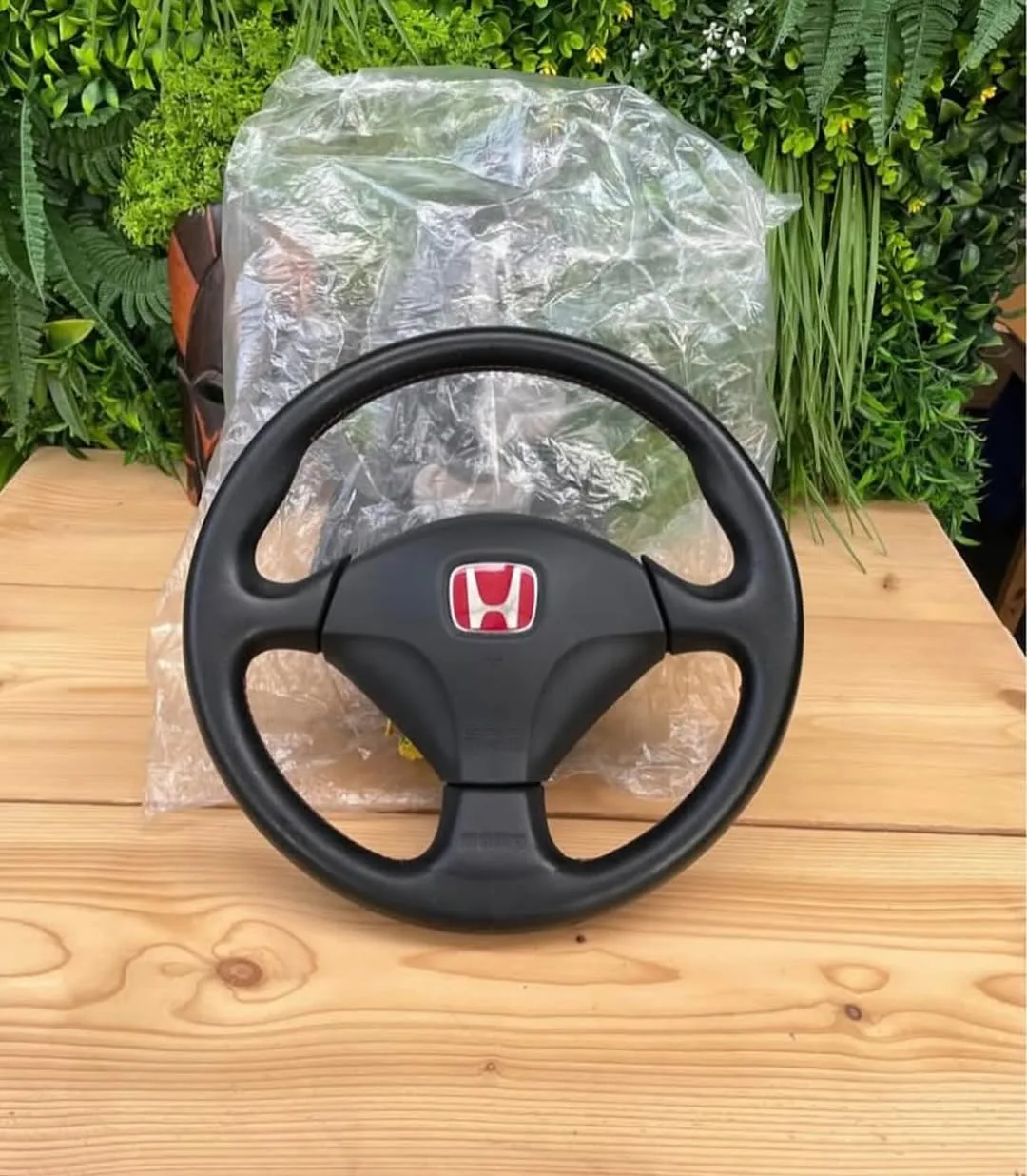 photo_5438315868716134497_y