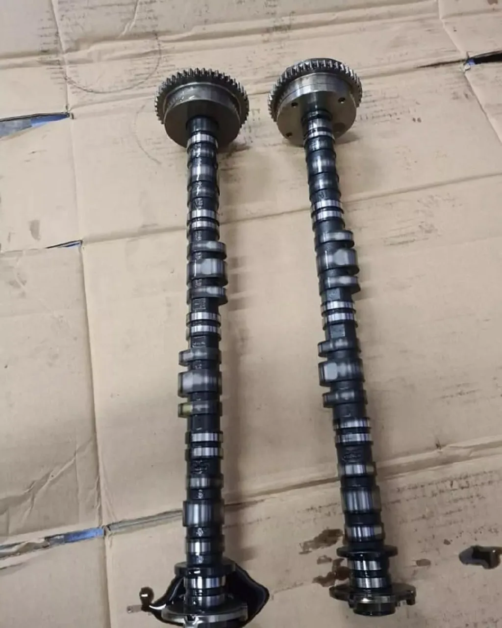 photo_5452077004062060799_y